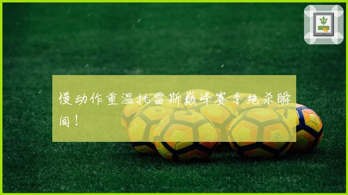 慢动作重温托雷斯巅峰赛季绝杀瞬间！